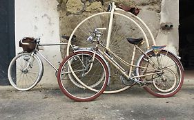 Tour de France historique et châteaux de Loire