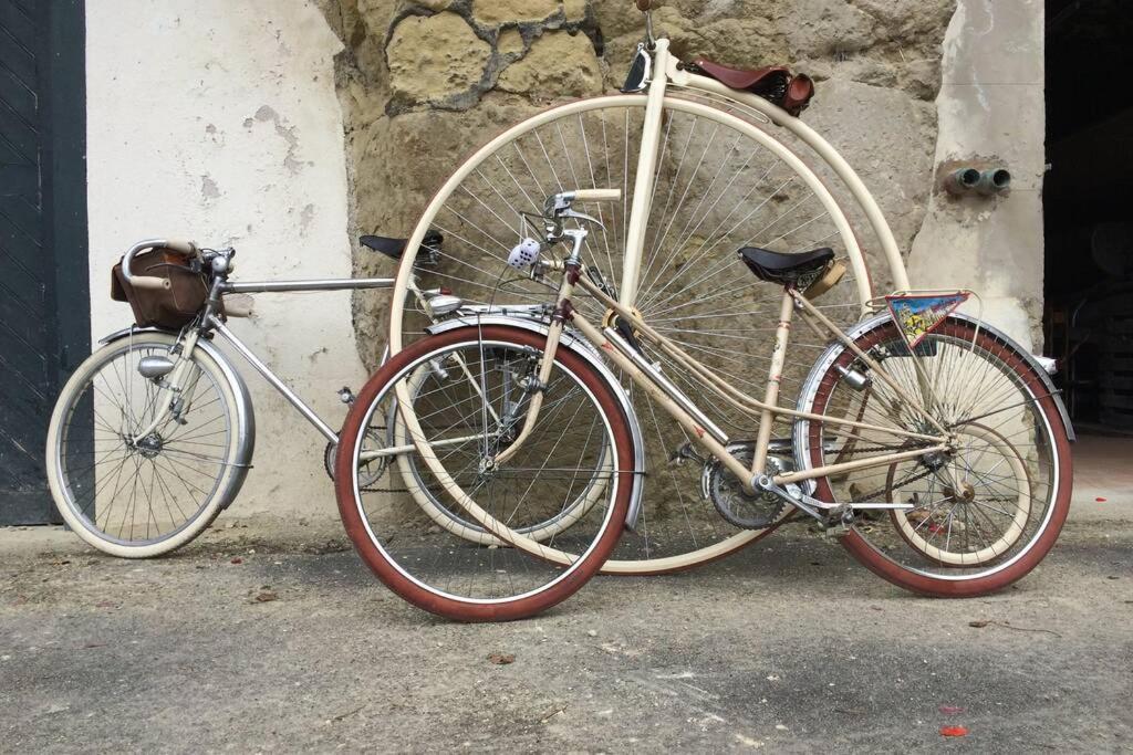 Tour de France historique et châteaux de Loire Orléans Extérieur photo